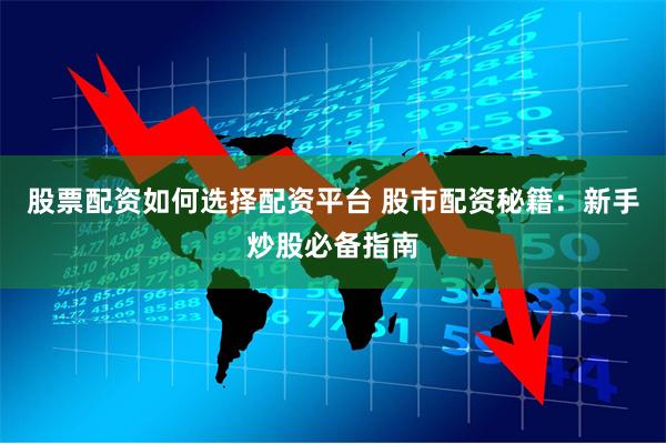 股票配资如何选择配资平台 股市配资秘籍:新手炒股必备指南