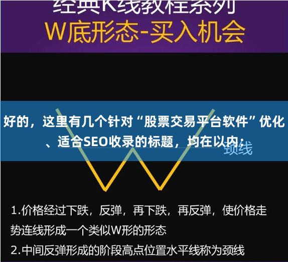 好的，这里有几个针对“股票交易平台软件”优化、适合SEO收录的标题，均在以内：