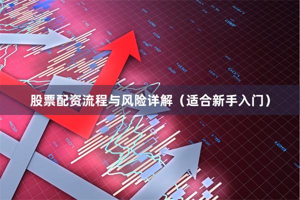 股票配资流程与风险详解(适合新手入门)