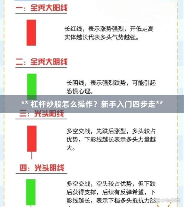 ** 杠杆炒股怎么操作？新手入门四步走**